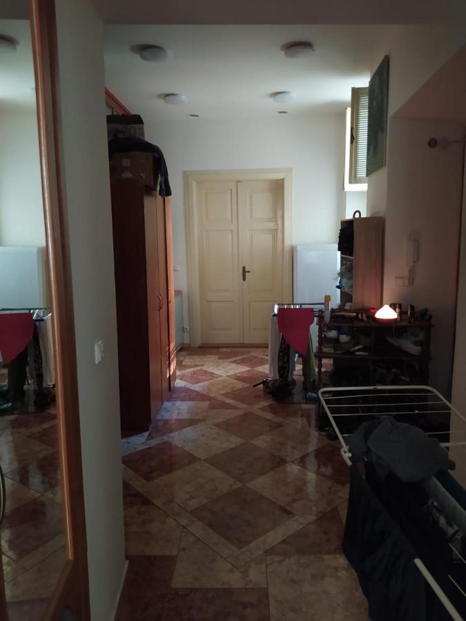 Private Room In Shared Luxurious Palace Like Apartment With 2 Bathrooms Including Whirlpool And Virtual Reality ปราก ภายนอก รูปภาพ